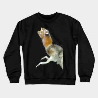 Insect larva under the microscope Crewneck Sweatshirt